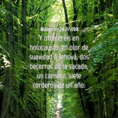 Picture 04 - Números 28:27 RVA - Y ofreceréis en holocausto, en olor de suavidad - Bible Verse Picture