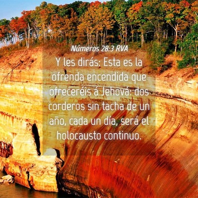 Picture 04 - Números 28:3 RVA - Y les dirás: Esta es la ofrenda encendida que - Bible Verse Picture