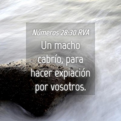 Picture 04 - Números 28:30 RVA - Un macho cabrío, para hacer expiación por - Bible Verse Picture