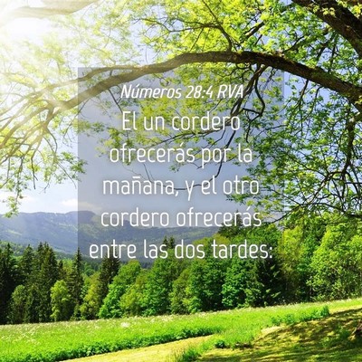 Picture 04 - Números 28:4 RVA - El un cordero ofrecerás por la mañana, y el - Bible Verse Picture