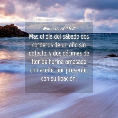 Picture 04 - Números 28:9 RVA - Mas el día del sábado dos corderos de un año - Bible Verse Picture