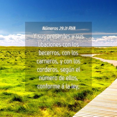 Picture 04 - Números 29:21 RVA - Y sus presentes y sus libaciones con los - Bible Verse Picture