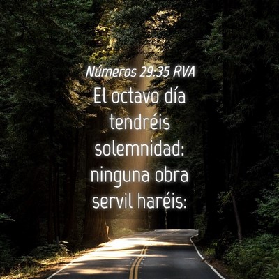 Picture 04 - Números 29:35 RVA - El octavo día tendréis solemnidad: ninguna obra - Bible Verse Picture