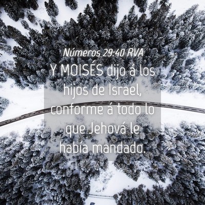 Picture 04 - Números 29:40 RVA - Y MOISÉS dijo á los hijos de Israel, conforme - Bible Verse Picture