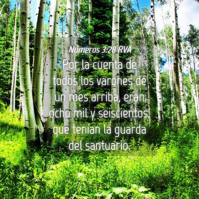 Picture 04 - Números 3:28 RVA - Por la cuenta de todos los varones de un mes - Bible Verse Picture
