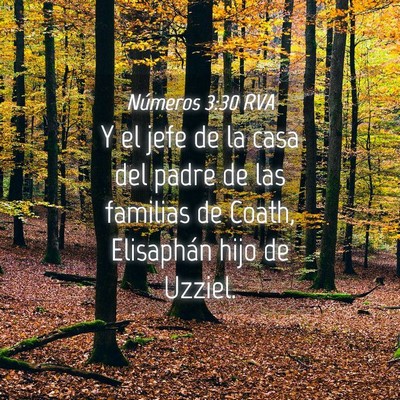 Picture 04 - Números 3:30 RVA - Y el jefe de la casa del padre de las familias de - Bible Verse Picture