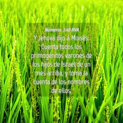 Picture 04 - Números 3:40 RVA - Y Jehová dijo á Moisés: Cuenta todos los - Bible Verse Picture