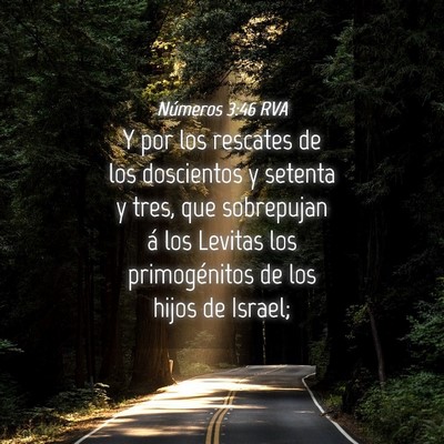 Picture 04 - Números 3:46 RVA - Y por los rescates de los doscientos y setenta y - Bible Verse Picture