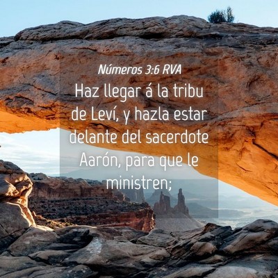 Picture 04 - Números 3:6 RVA - Haz llegar á la tribu de Leví, y hazla estar - Bible Verse Picture