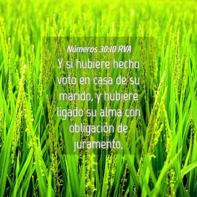 Picture 04 - Números 30:10 RVA - Y si hubiere hecho voto en casa de su marido, y - Bible Verse Picture