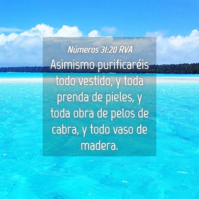 Picture 04 - Números 31:20 RVA - Asimismo purificaréis todo vestido, y toda - Bible Verse Picture