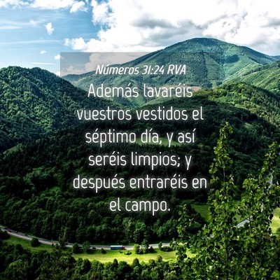 Picture 04 - Números 31:24 RVA - Además lavaréis vuestros vestidos el séptimo - Bible Verse Picture