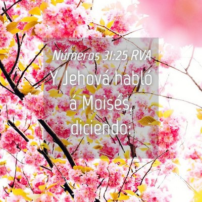 Picture 04 - Números 31:25 RVA - Y Jehová habló á Moisés, - Bible Verse Picture