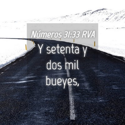 Picture 04 - Números 31:33 RVA - Y setenta y dos mil - Bible Verse Picture