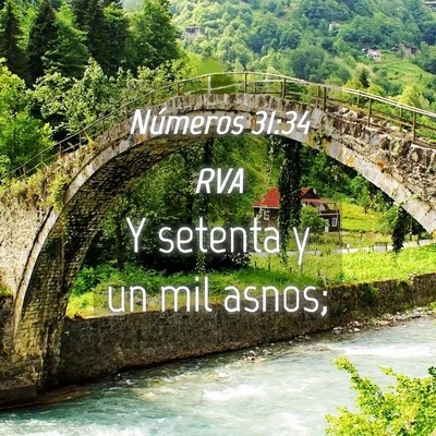 Picture 04 - Números 31:34 RVA - Y setenta y un mil - Bible Verse Picture