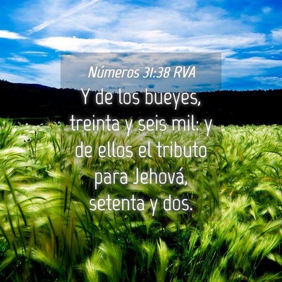 Picture 04 - Números 31:38 RVA - Y de los bueyes, treinta y seis mil: y de ellos - Bible Verse Picture