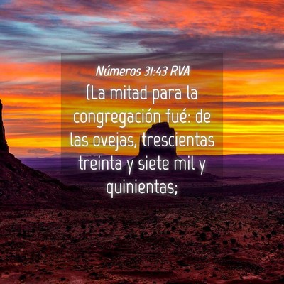 Picture 04 - Números 31:43 RVA - (La mitad para la congregación fué: de las - Bible Verse Picture