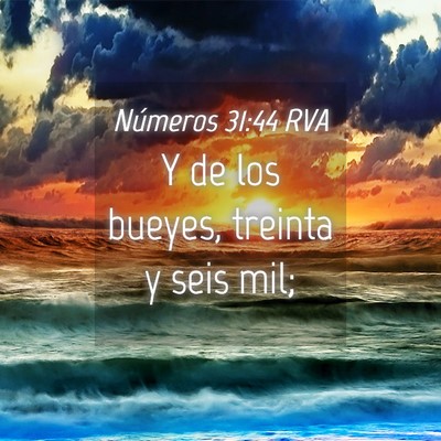 Picture 04 - Números 31:44 RVA - Y de los bueyes, treinta y seis - Bible Verse Picture