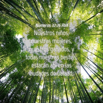 Picture 04 - Números 32:26 RVA - Nuestros niños, nuestras mujeres, nuestros - Bible Verse Picture