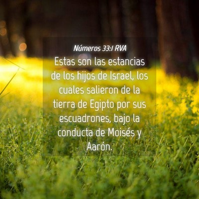 Picture 04 - Números 33:1 RVA - Estas son las estancias de los hijos de Israel, - Bible Verse Picture