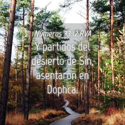 Picture 04 - Números 33:12 RVA - Y partidos del desierto de Sin, asentaron en - Bible Verse Picture