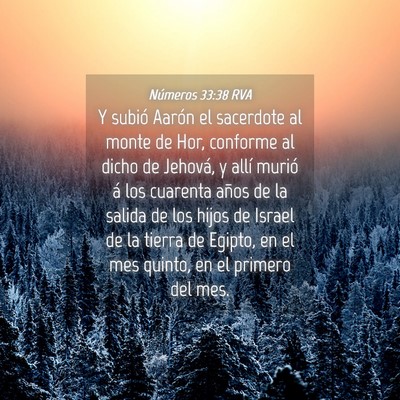 Picture 04 - Números 33:38 RVA - Y subió Aarón el sacerdote al monte de Hor, - Bible Verse Picture