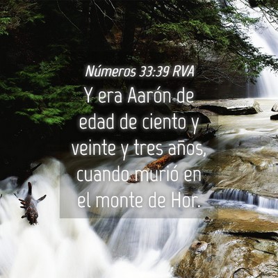Picture 04 - Números 33:39 RVA - Y era Aarón de edad de ciento y veinte y tres - Bible Verse Picture