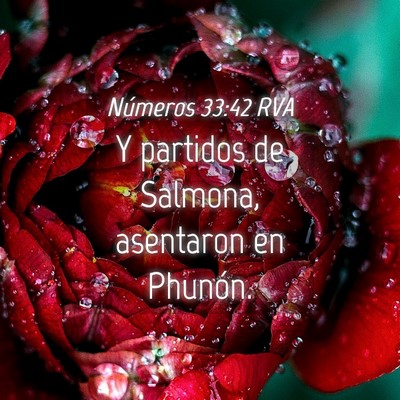 Picture 04 - Números 33:42 RVA - Y partidos de Salmona, asentaron en - Bible Verse Picture