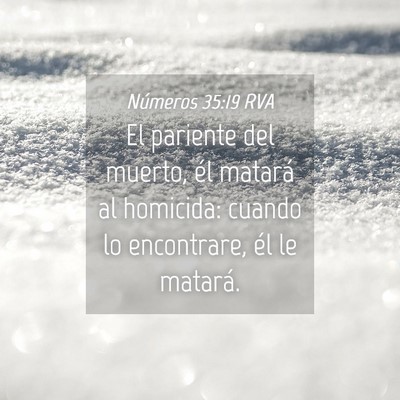 Picture 04 - Números 35:19 RVA - El pariente del muerto, él matará al homicida: - Bible Verse Picture