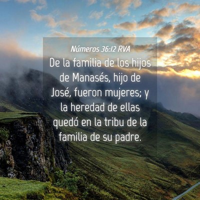 Picture 04 - Números 36:12 RVA - De la familia de los hijos de Manasés, hijo de - Bible Verse Picture