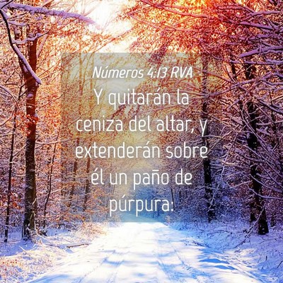Picture 04 - Números 4:13 RVA - Y quitarán la ceniza del altar, y extenderán - Bible Verse Picture