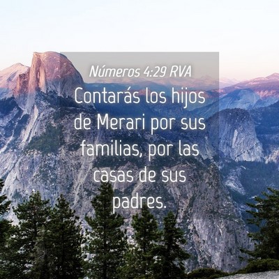 Picture 04 - Números 4:29 RVA - Contarás los hijos de Merari por sus familias, - Bible Verse Picture