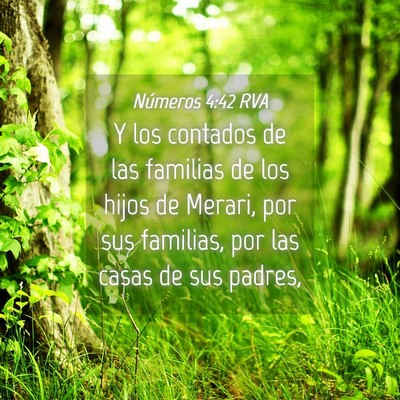 Picture 04 - Números 4:42 RVA - Y los contados de las familias de los hijos de - Bible Verse Picture