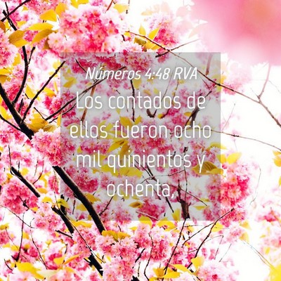 Picture 04 - Números 4:48 RVA - Los contados de ellos fueron ocho mil quinientos - Bible Verse Picture