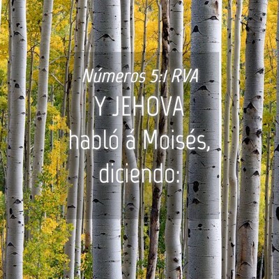 Picture 04 - Números 5:1 RVA - Y JEHOVA habló á Moisés, - Bible Verse Picture