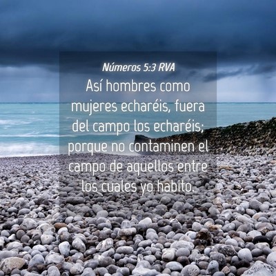Picture 04 - Números 5:3 RVA - Así hombres como mujeres echaréis, fuera del - Bible Verse Picture