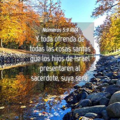Picture 04 - Números 5:9 RVA - Y toda ofrenda de todas las cosas santas que los - Bible Verse Picture