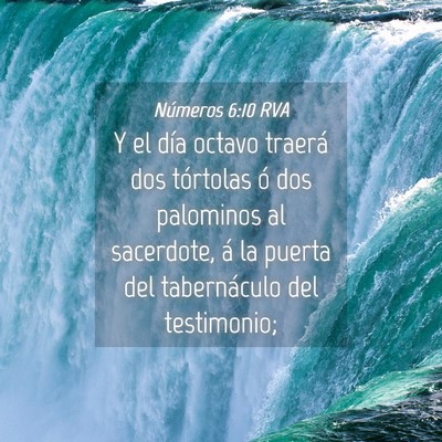 Picture 04 - Números 6:10 RVA - Y el día octavo traerá dos tórtolas ó dos - Bible Verse Picture