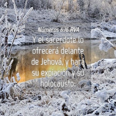 Picture 04 - Números 6:16 RVA - Y el sacerdote lo ofrecerá delante de Jehová, y - Bible Verse Picture