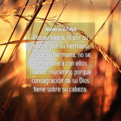 Picture 04 - Números 6:7 RVA - Por su padre, ni por su madre, por su hermano, ni - Bible Verse Picture