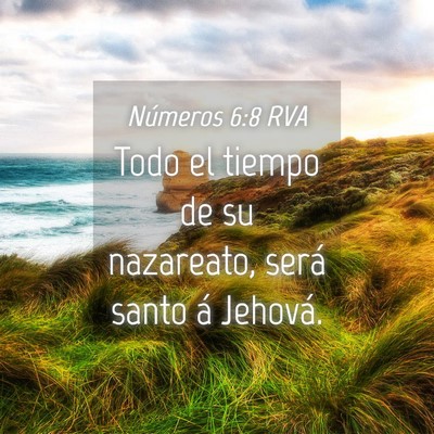 Picture 04 - Números 6:8 RVA - Todo el tiempo de su nazareato, será santo á - Bible Verse Picture