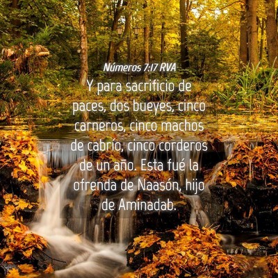 Picture 04 - Números 7:17 RVA - Y para sacrificio de paces, dos bueyes, cinco - Bible Verse Picture