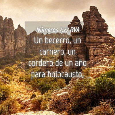 Picture 04 - Números 7:27 RVA - Un becerro, un carnero, un cordero de un año - Bible Verse Picture