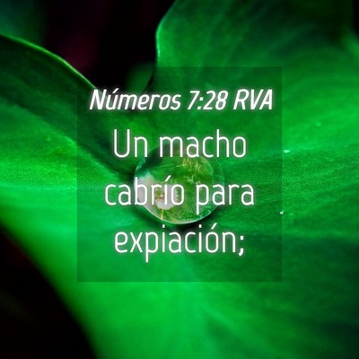 Picture 04 - Números 7:28 RVA - Un macho cabrío para - Bible Verse Picture