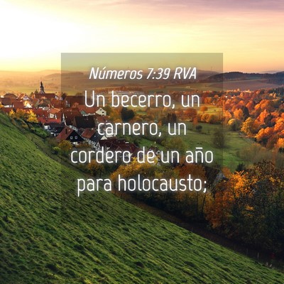 Picture 04 - Números 7:39 RVA - Un becerro, un carnero, un cordero de un año - Bible Verse Picture