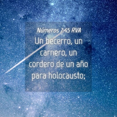 Picture 04 - Números 7:45 RVA - Un becerro, un carnero, un cordero de un año - Bible Verse Picture