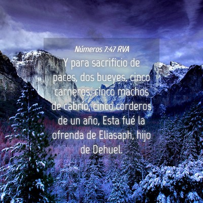 Picture 04 - Números 7:47 RVA - Y para sacrificio de paces, dos bueyes, cinco - Bible Verse Picture