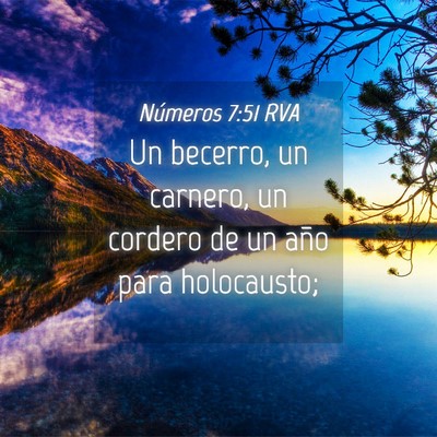 Picture 04 - Números 7:51 RVA - Un becerro, un carnero, un cordero de un año - Bible Verse Picture