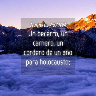 Picture 04 - Números 7:57 RVA - Un becerro, un carnero, un cordero de un año - Bible Verse Picture