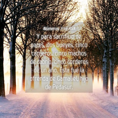 Picture 04 - Números 7:59 RVA - Y para sacrificio de paces, dos bueyes, cinco - Bible Verse Picture